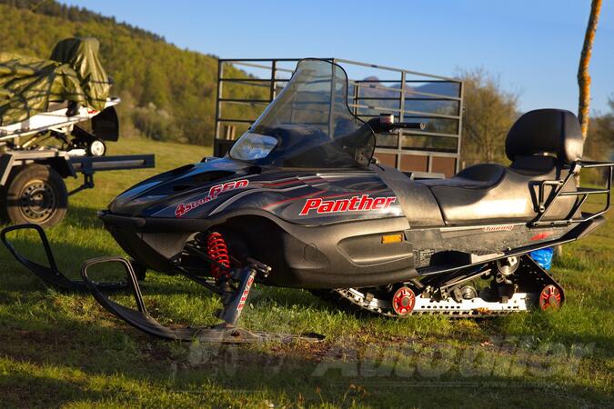 Arctic Cat