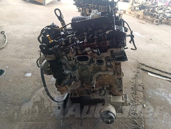 Motor za Automobile - Ford - Ranger - 2016