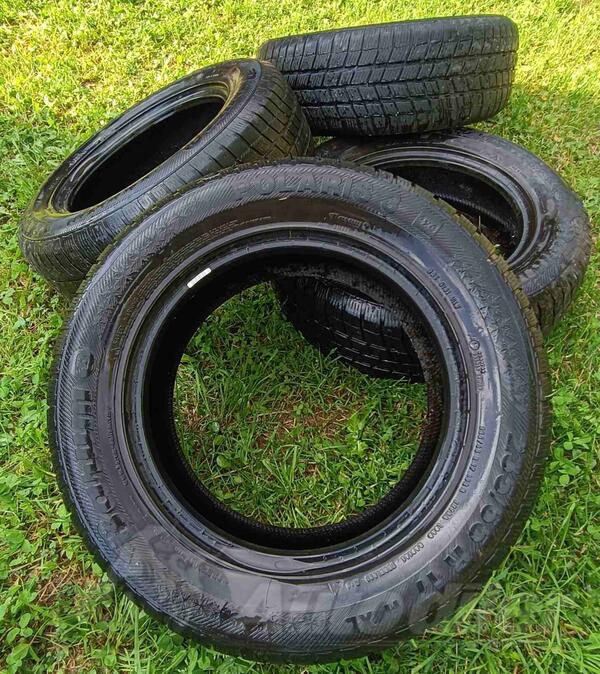 Barum - Polaris - Zimska guma