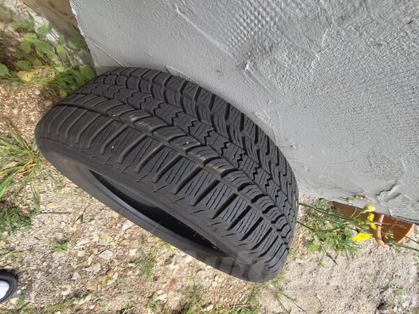 Sava - M+S winter - Zimska guma