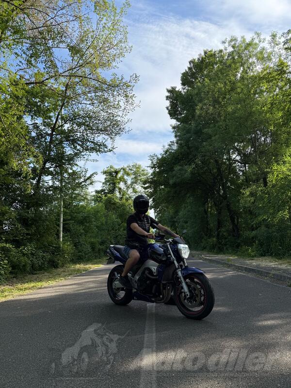 Suzuki - GSR