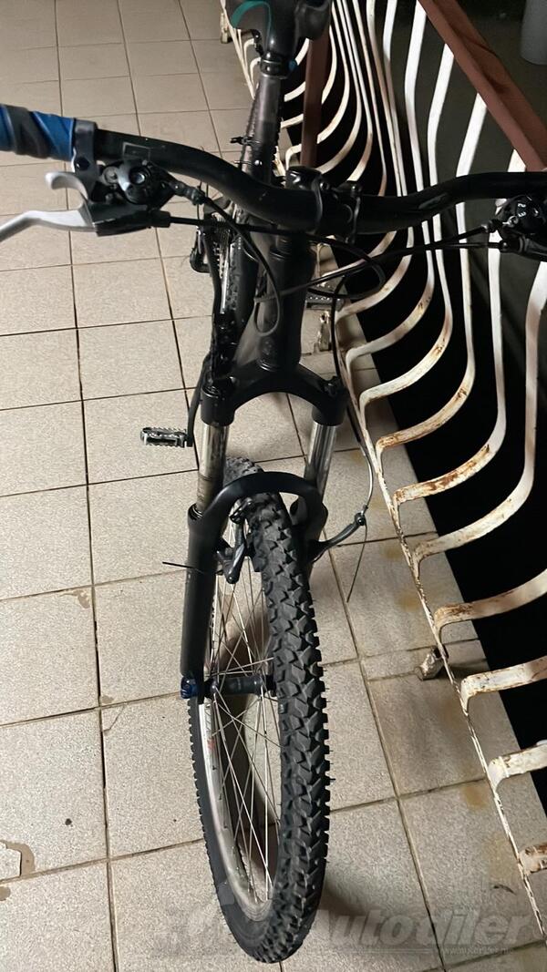 Cult - Shimano