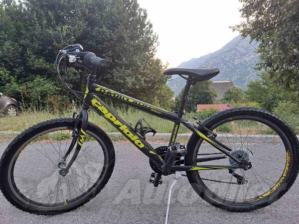 Capriolo - Rapid 400