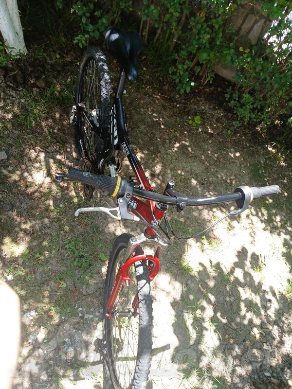 Betavus - obično biciklo