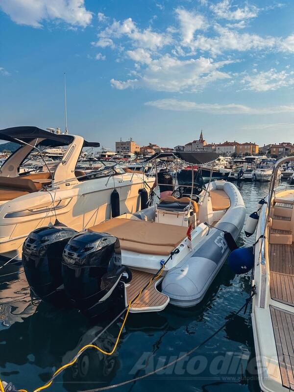 Ostalo - SACS Strider 9