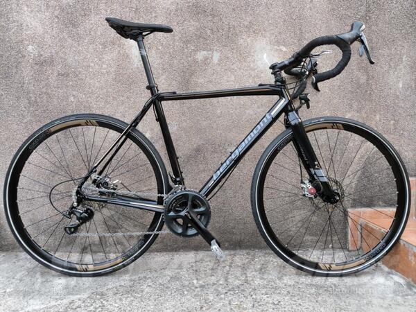 Bergamont - Bergamont