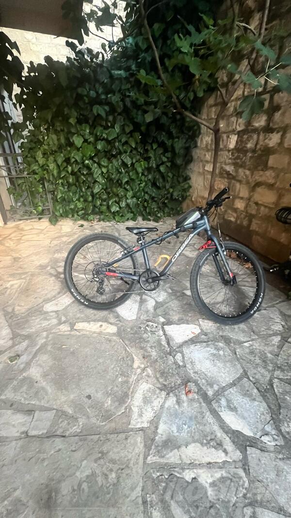 Orbea - Orbea