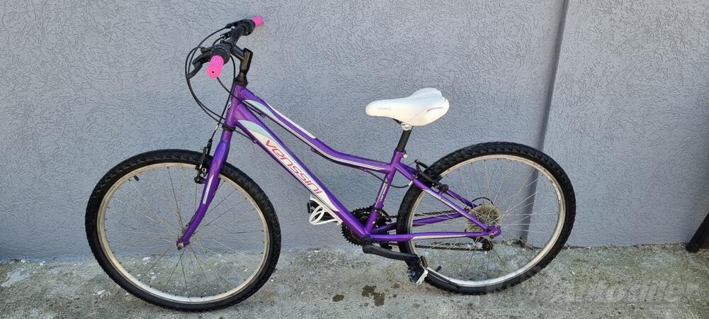 Ostalo - VISITOR  MODENA