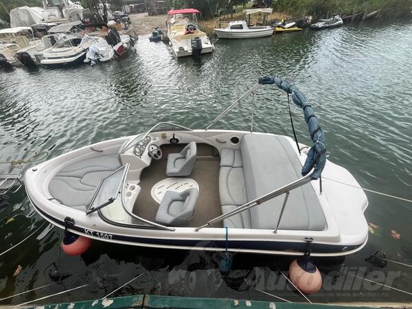 Stingray - 590 Q 4 sport