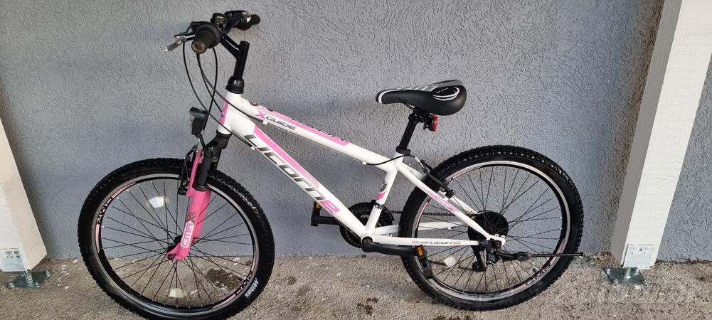 Ostalo - LICORNW X GUIDES