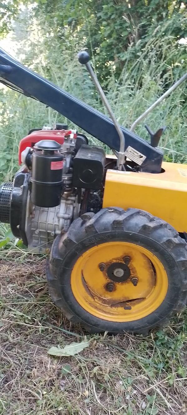 MTZ - Muta