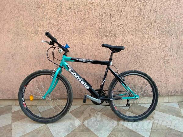 Capriolo - Passat