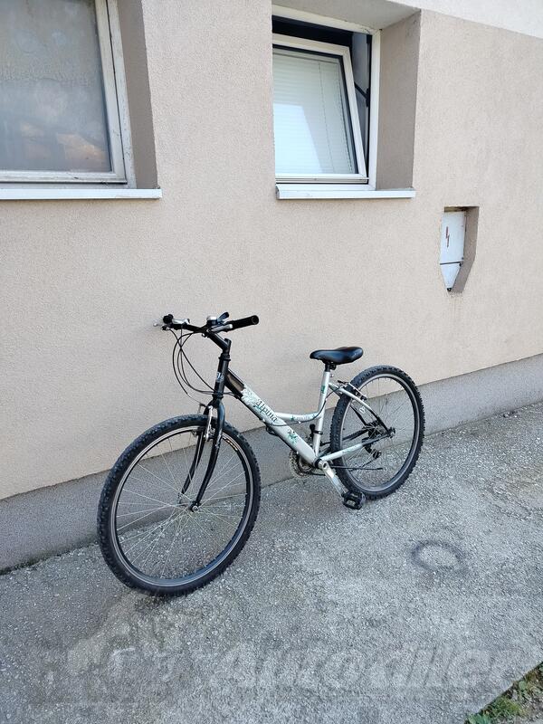 BMC - alpina pacific