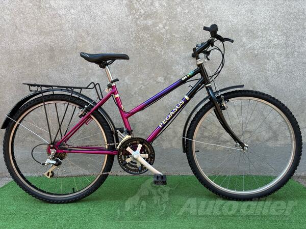 Shimano - Pegasus