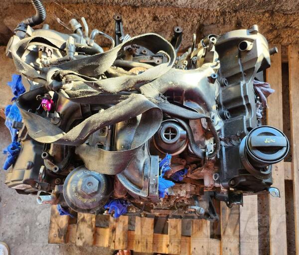 Motor za Automobile - Audi - A6    - 2016