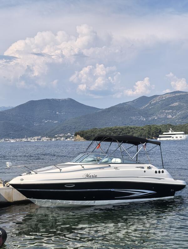 Glastron - GS 259