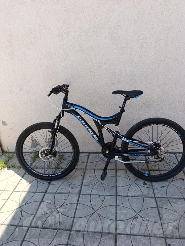 Capriolo - GTX