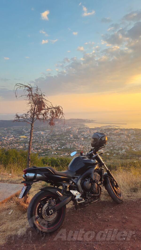 Yamaha - fz6n