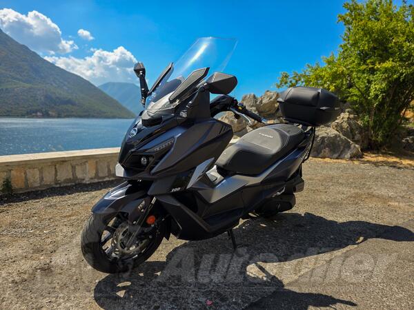 SYM - Sym Cruisym 300