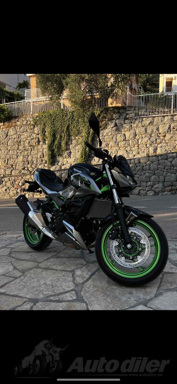 Kawasaki - Z500 SE