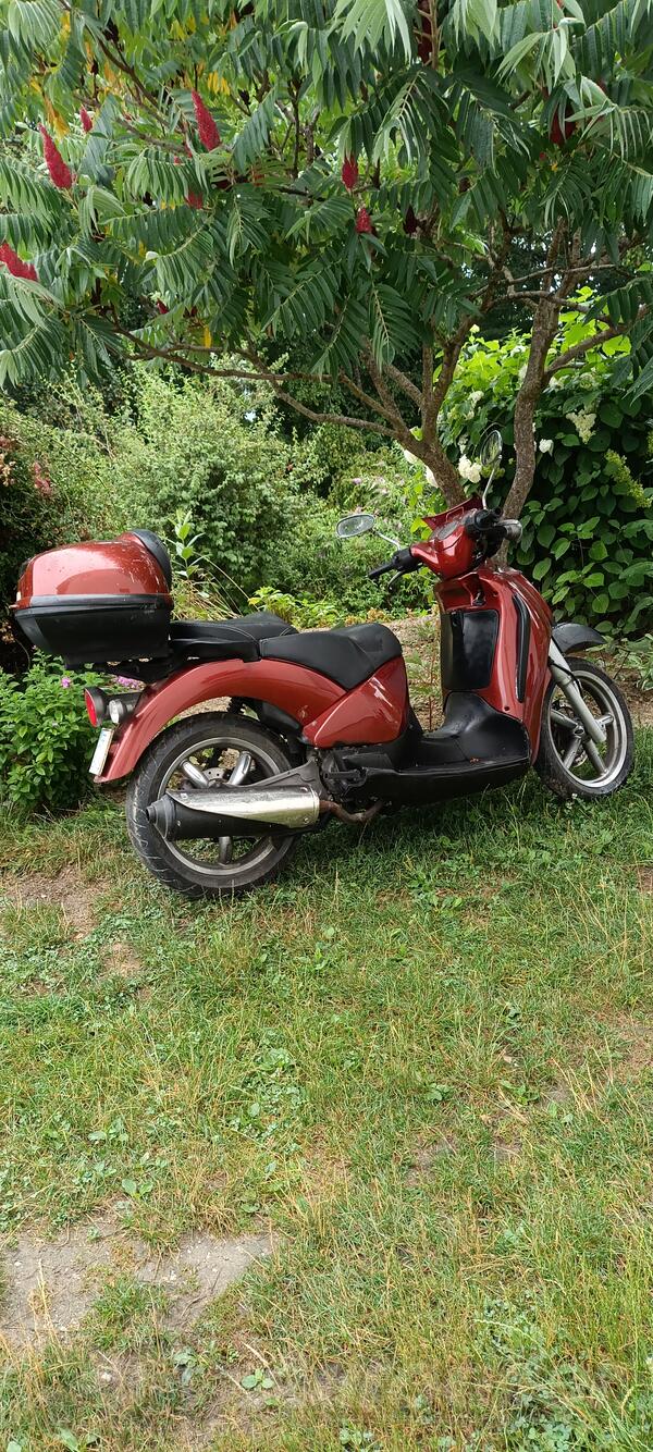 Aprilia - Aprilija skarabeo