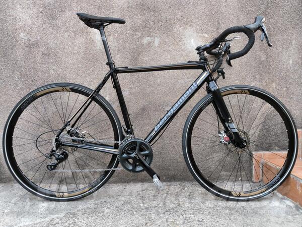 Bergamont - Bergamont