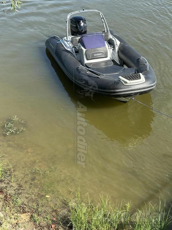 Zodiac - Grand 500 golden line