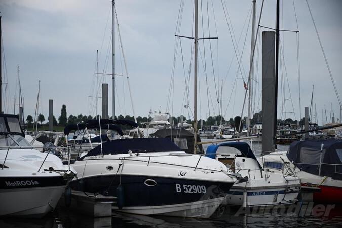 Rinker - fiesta vee 250