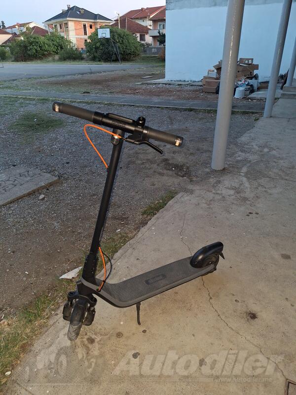 Capriolo - E2 Plus II