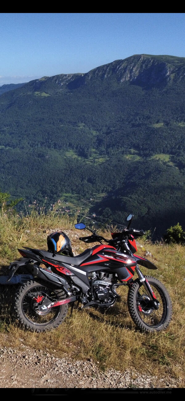 Migliori Castor - Furio