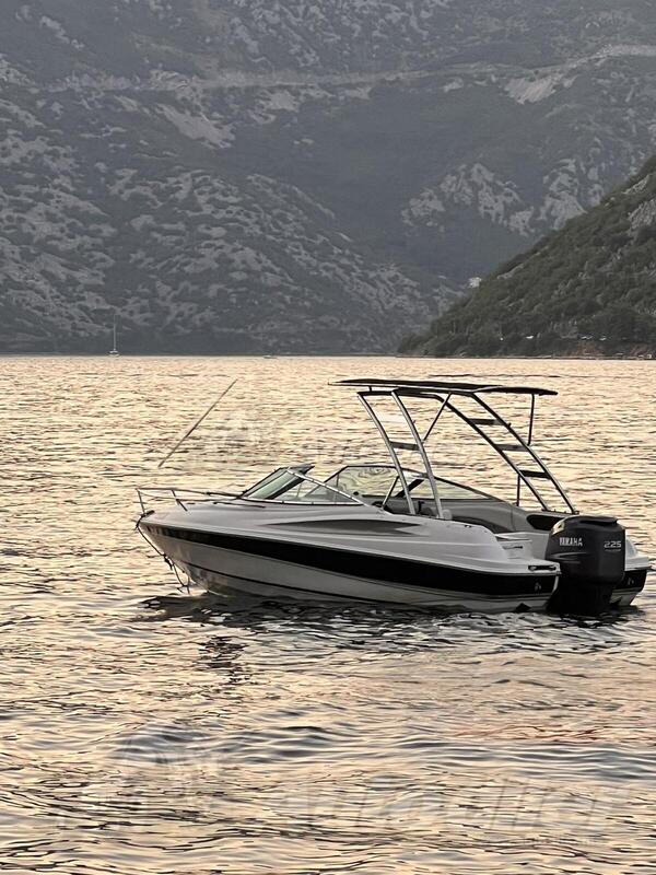 Wellcraft - Yamaha 225