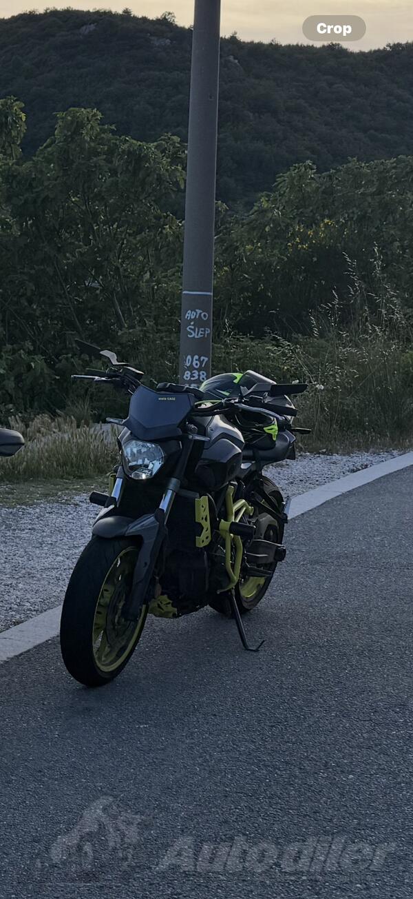 Yamaha - MT 07 Moto Cage