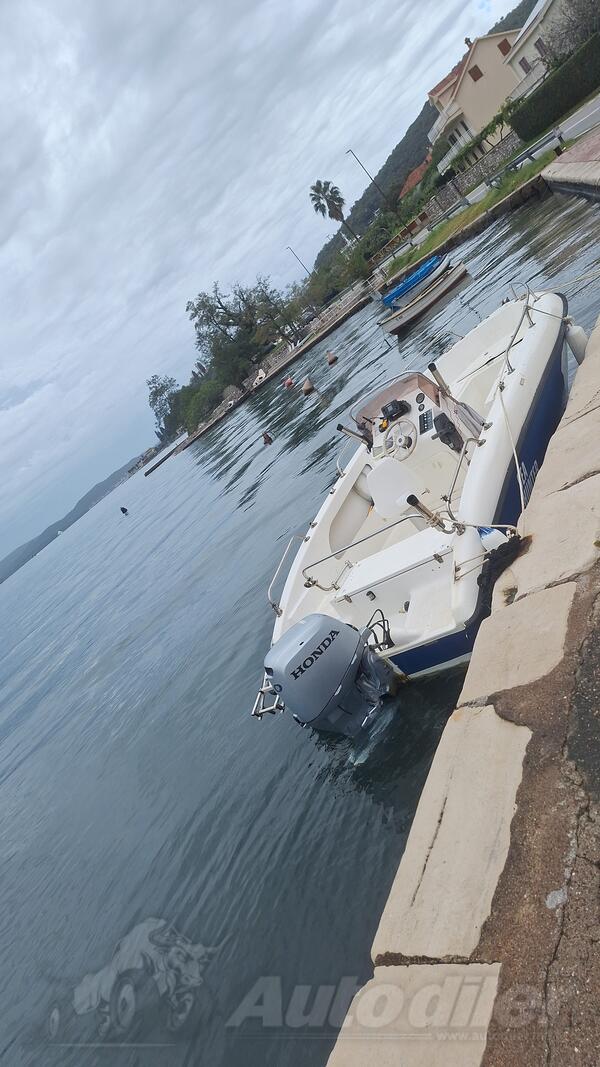 Elan - 540