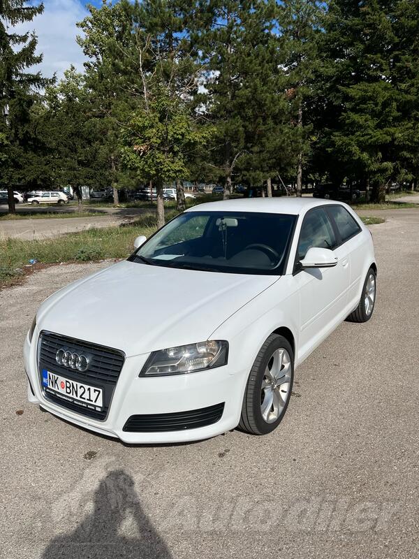 Audi - A3 - 1.6 Benzin