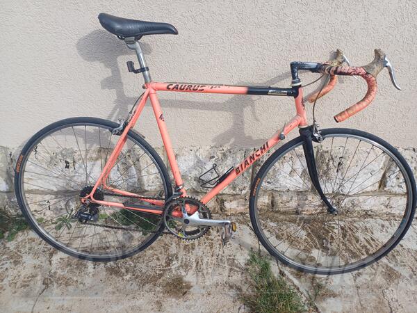 Bianchi - Caurus