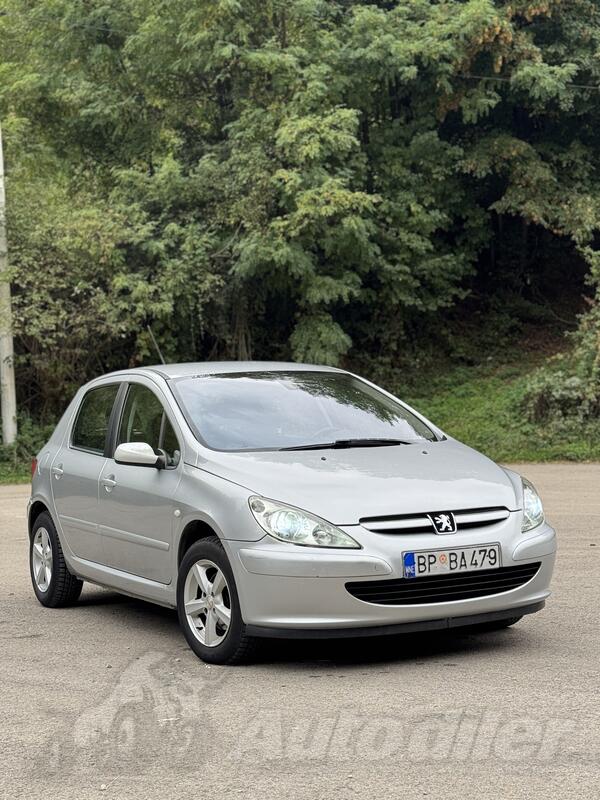 Peugeot - 307 - 1.6 hdi