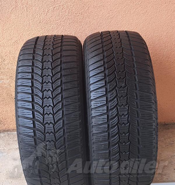 Sava - eskimo hp2 - Zimska guma