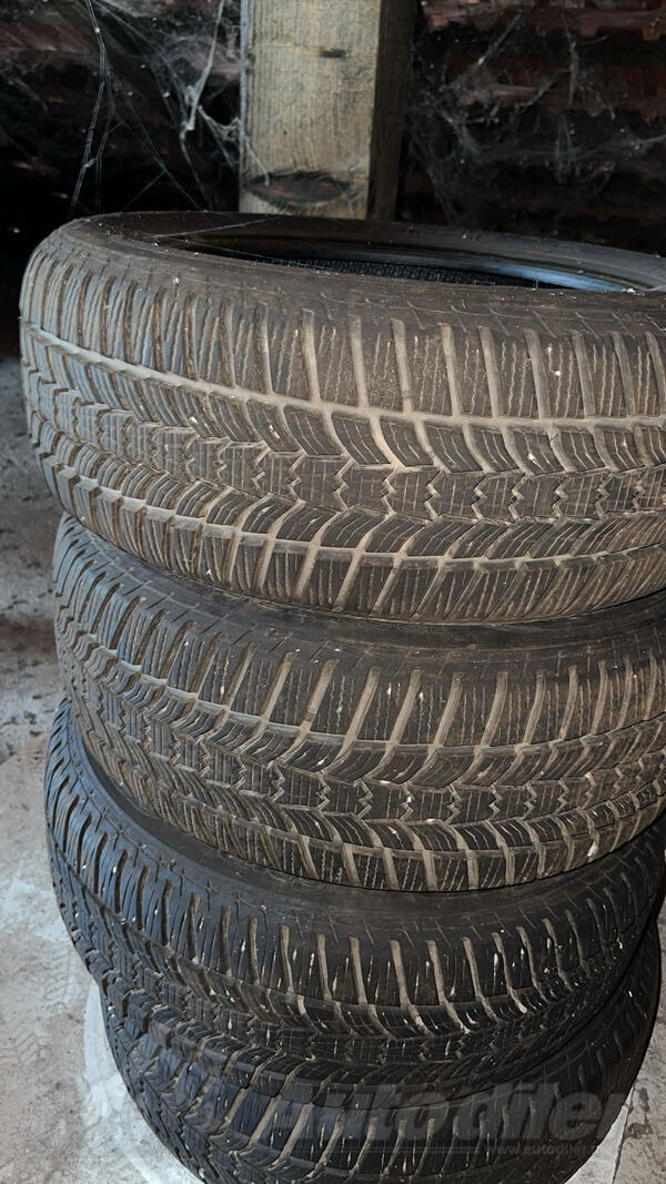 Sava - eskimo - Zimska guma