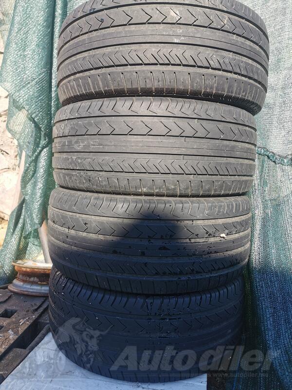 Torque - TQ  - Ganzjahres guma