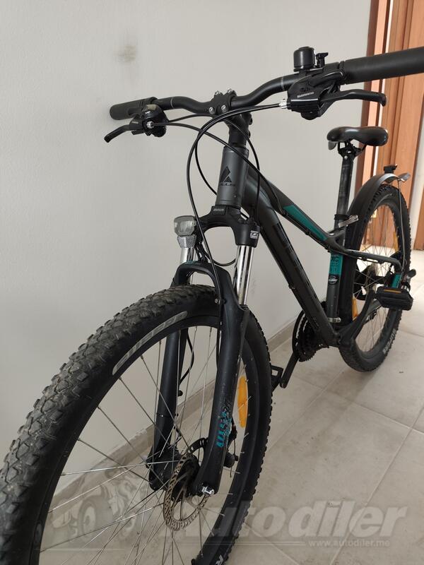 Bulls - zarena street 1