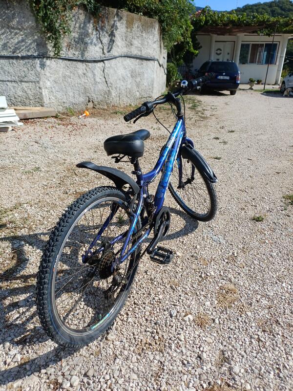 Author - explorer venera magnito