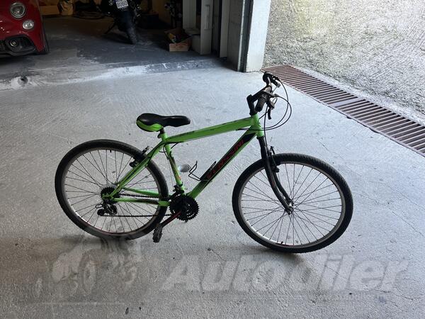 Capriolo - Venera Bike