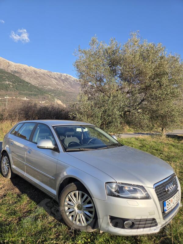 Audi - A3 - 1.6 TDI