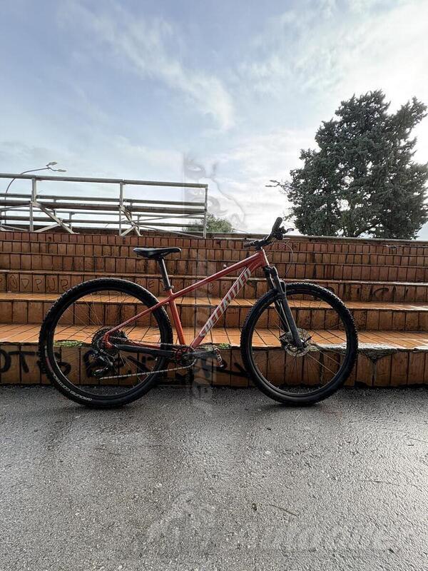 Specialized - Rockhopper elite 2021