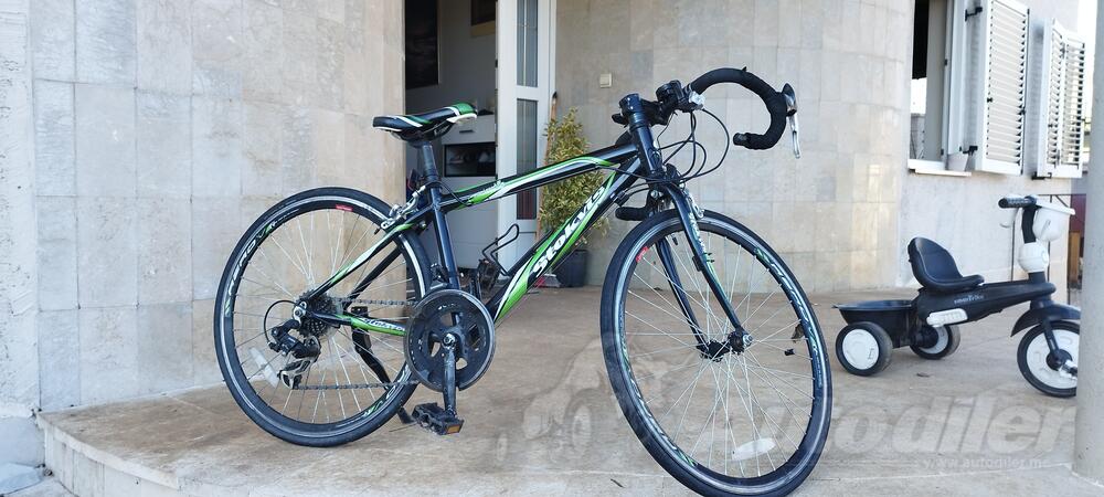 Stockli - stokvis piccadilly