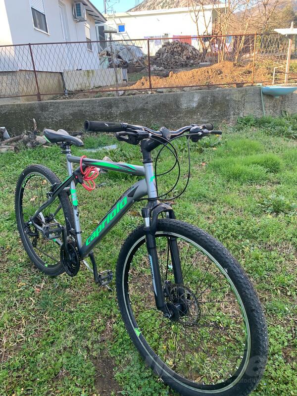 Capriolo - caprijolo