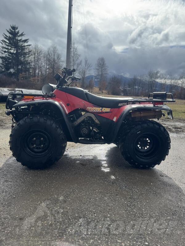 Arctic Cat - 500