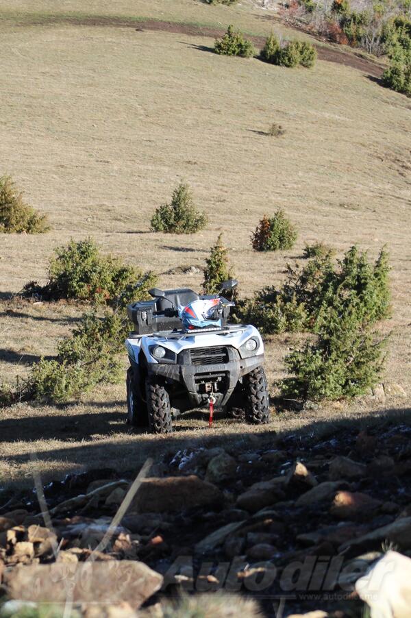 Kawasaki - Brute Force 750