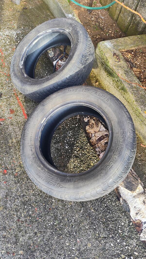 Sava - S3 + - Univerzalna guma