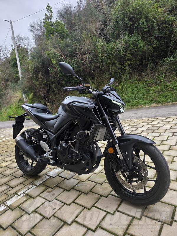 Yamaha - mt
